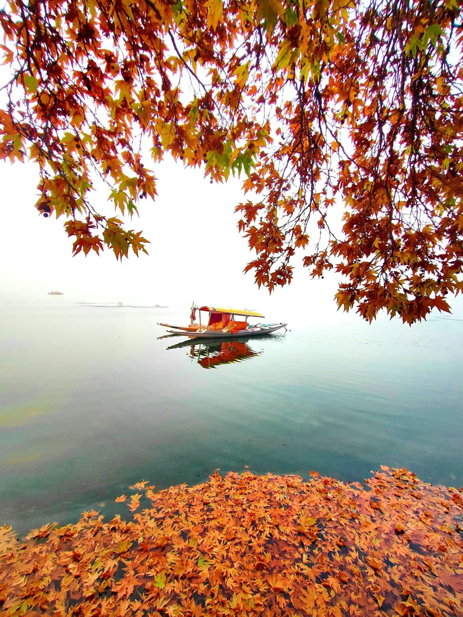 Srinagar lake and mountain scenery