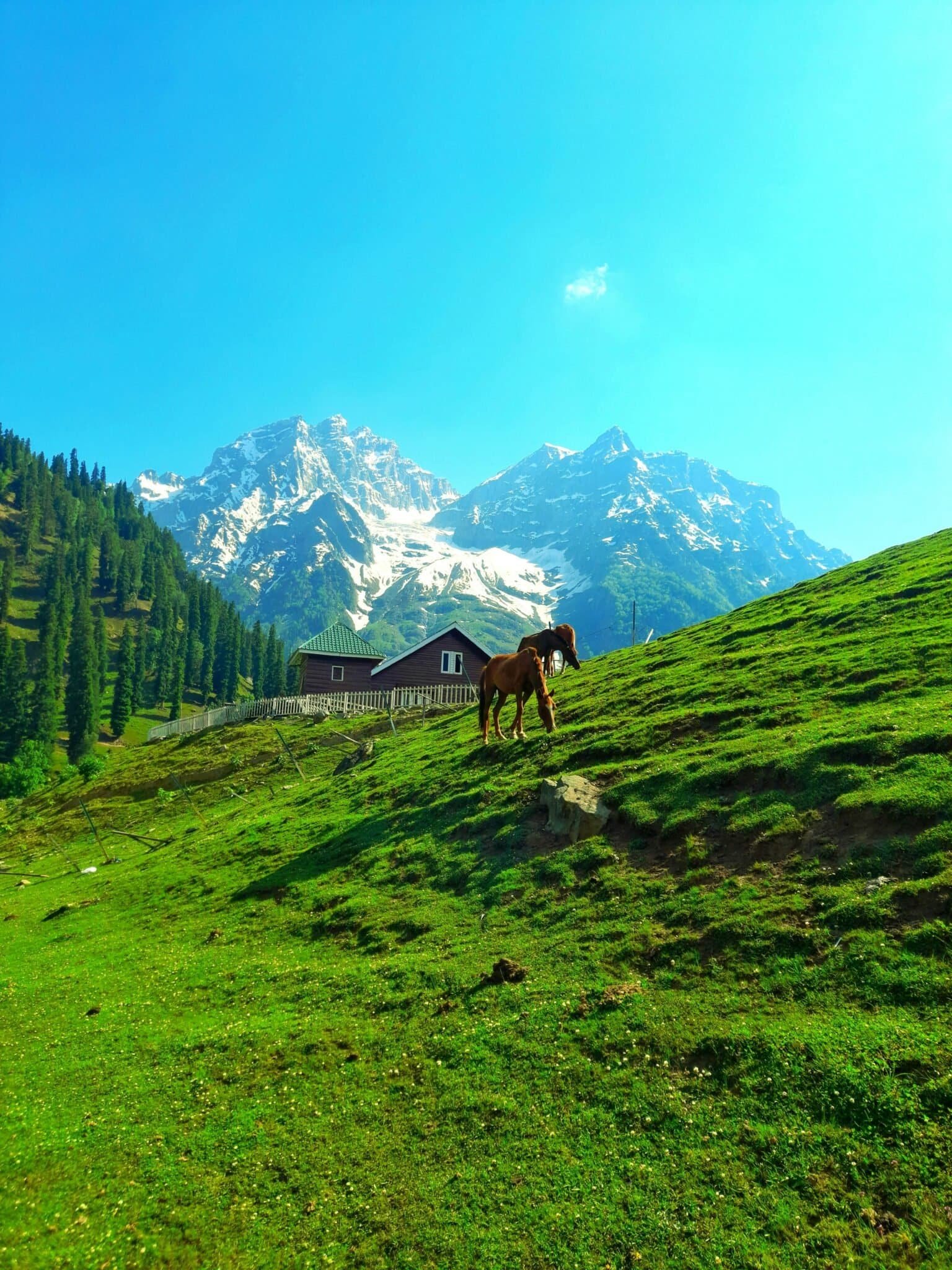Green valley and mountain stream in Kashmir